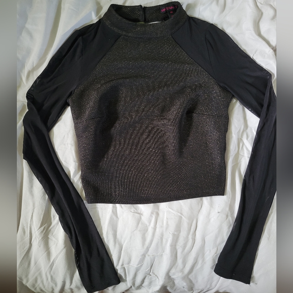 Sheer Mesh Metallic Crop Top